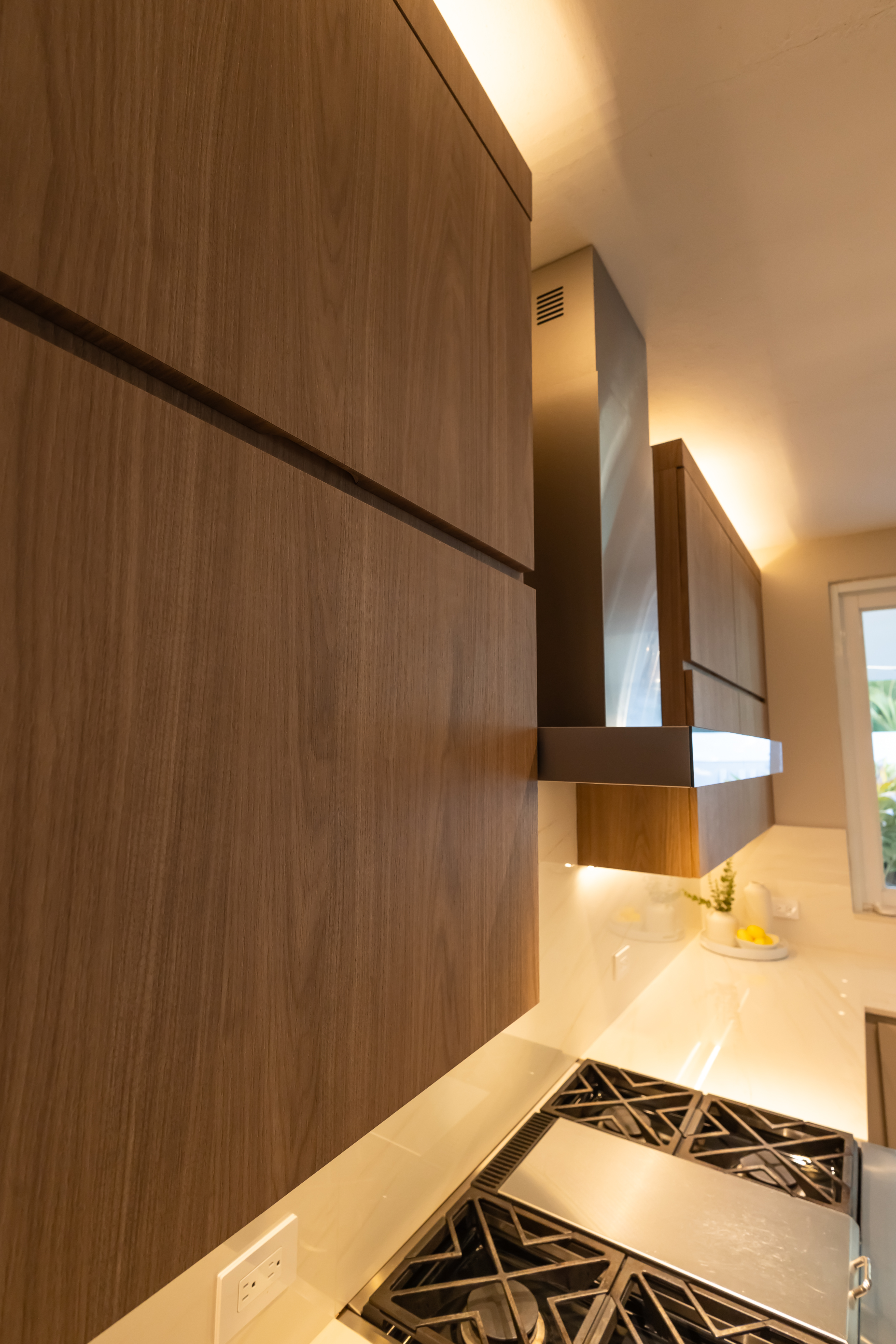 MONACO kitchen collection - Closer view